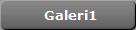 Galeri1