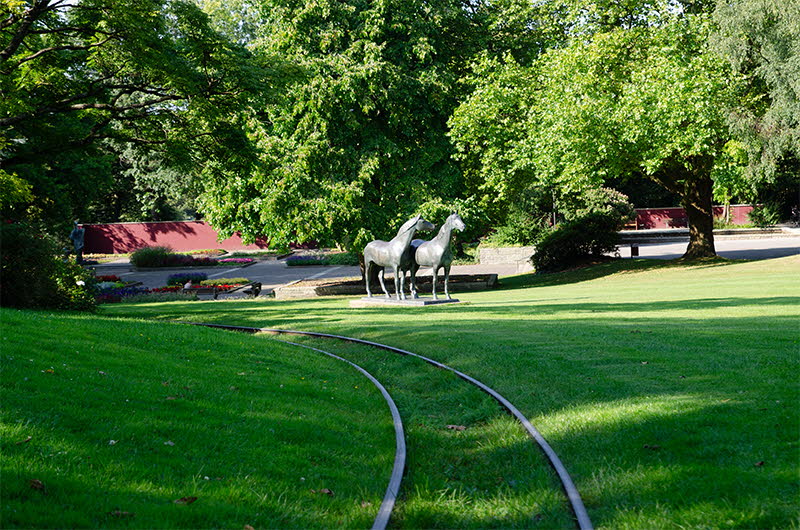 DSC_0969-1