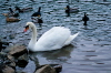 _DSC0065-1